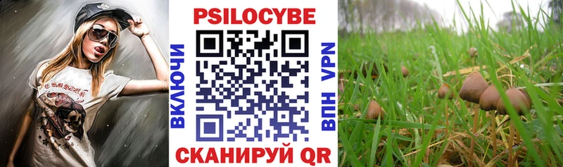 Псилоцибиновые грибы мицелий  Карталы 